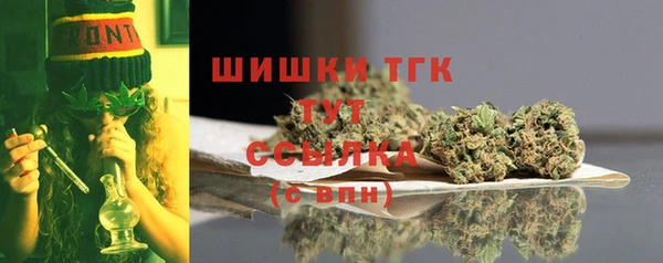 крисы Белокуриха