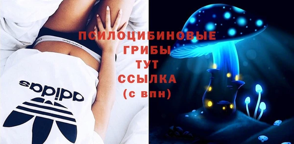 ешки Белоозёрский