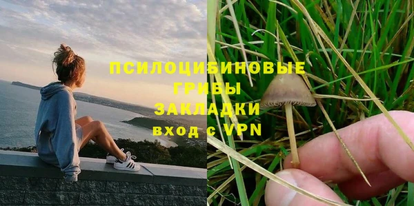 крисы Белокуриха