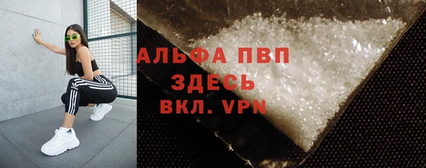 крисы Белокуриха