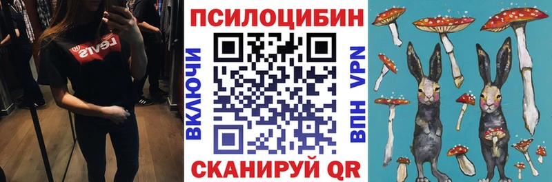 Галлюциногенные грибы Psilocybe  блэк спрут зеркало  Велиж 